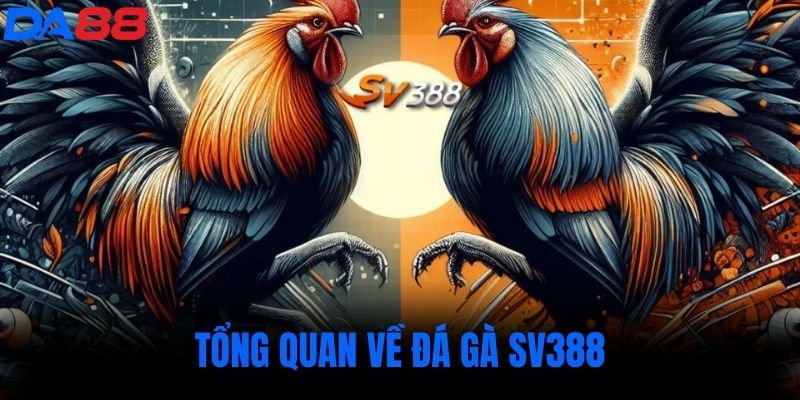 Tổng quan về đá gà sv388